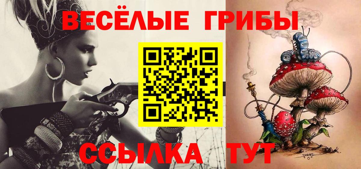Минеральные Воды  Псилоцибиновые грибы Psilocybe  Вход с VPN 